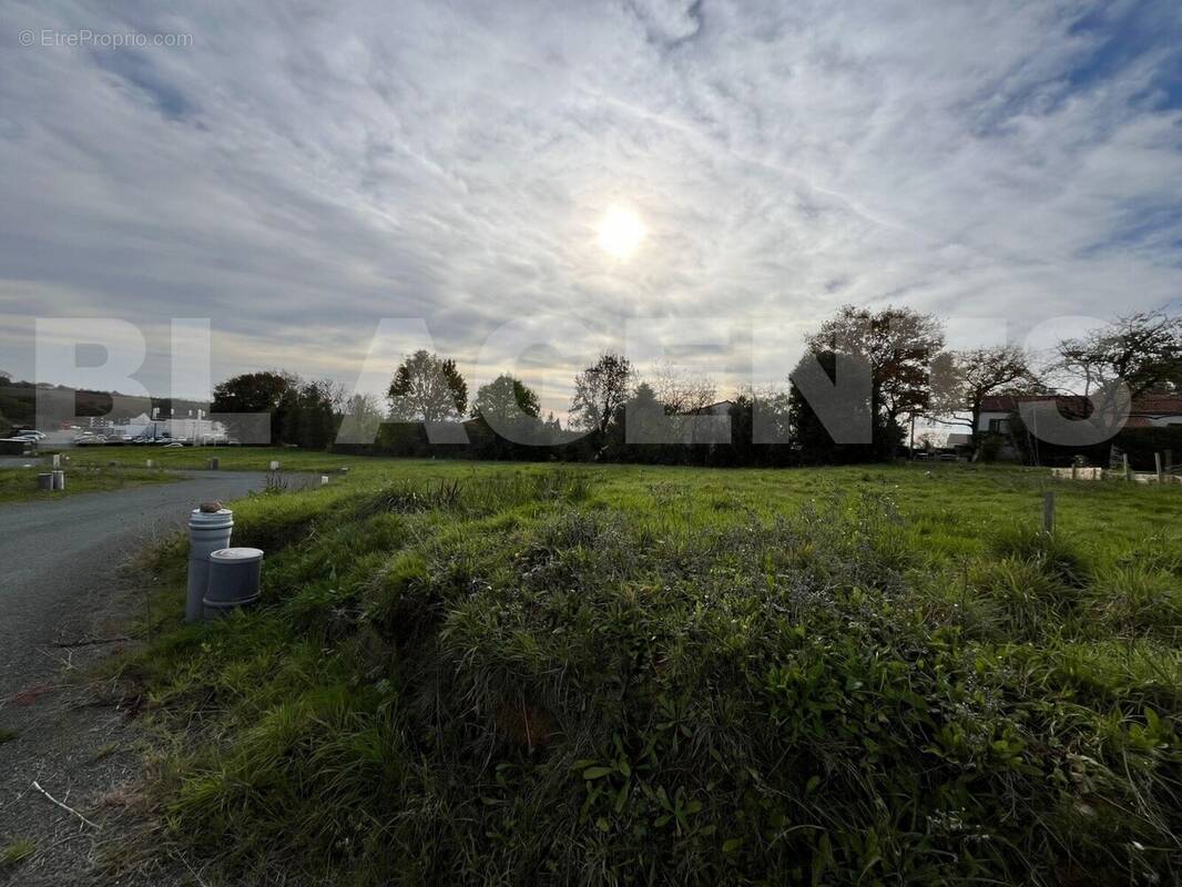 IMG-20251129-WA0001 - Terrain à MOUCHAMPS