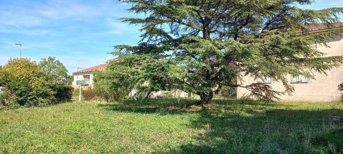 Terrain à EAUNES