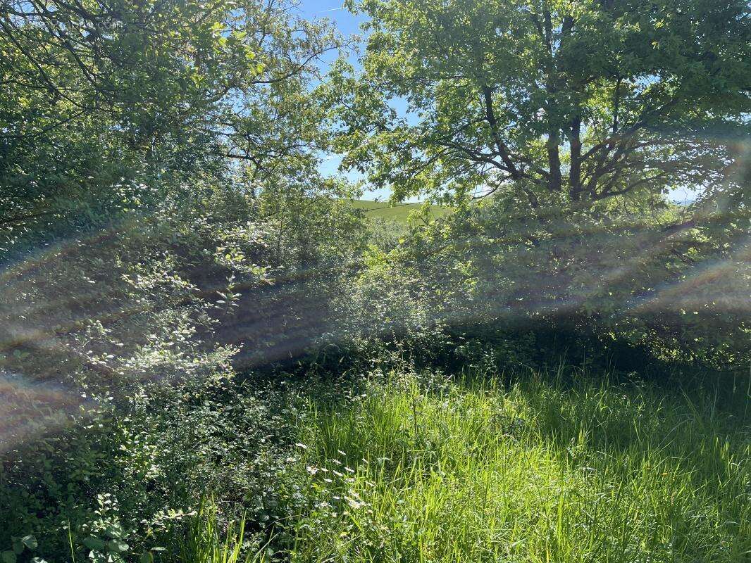 Terrain à SAINT-ROMAIN-LE-NOBLE