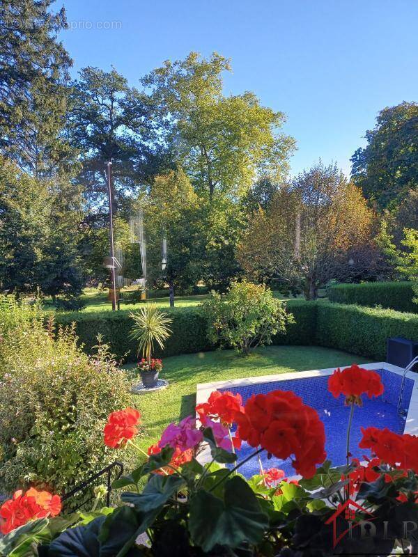 Maison à LUXEUIL-LES-BAINS