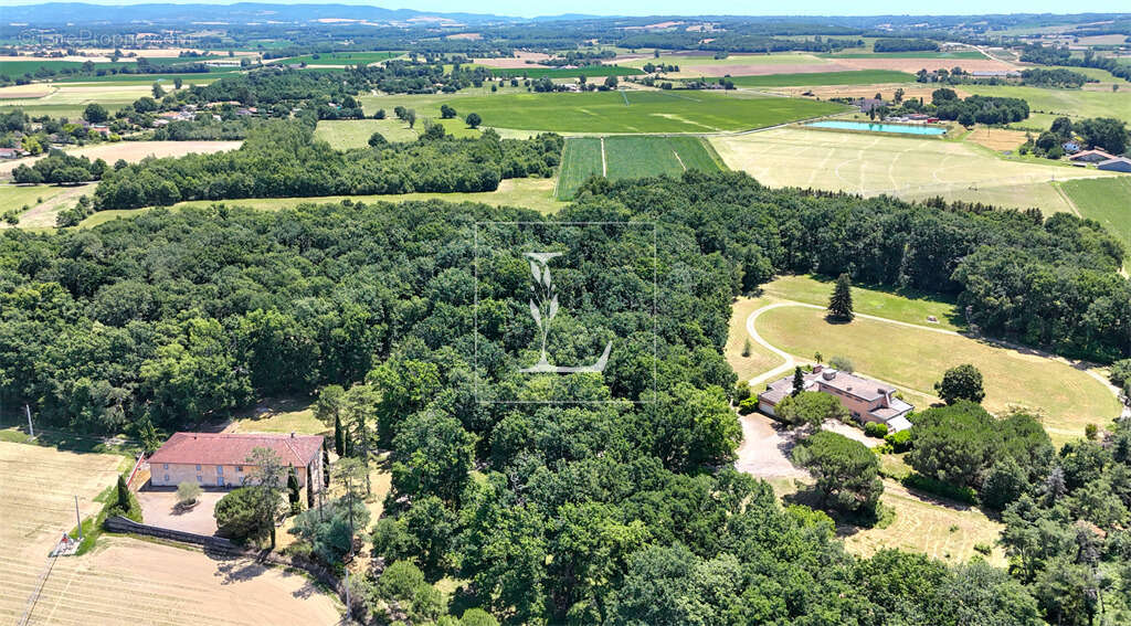 Negrepelisse — domaine familial de 9,7 hectares avec villa d’architecte, ferme de caractere et parc - photo 4