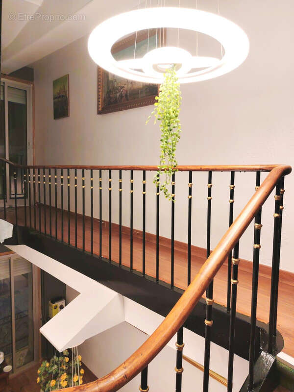 Commerce à AMELIE-LES-BAINS-PALALDA