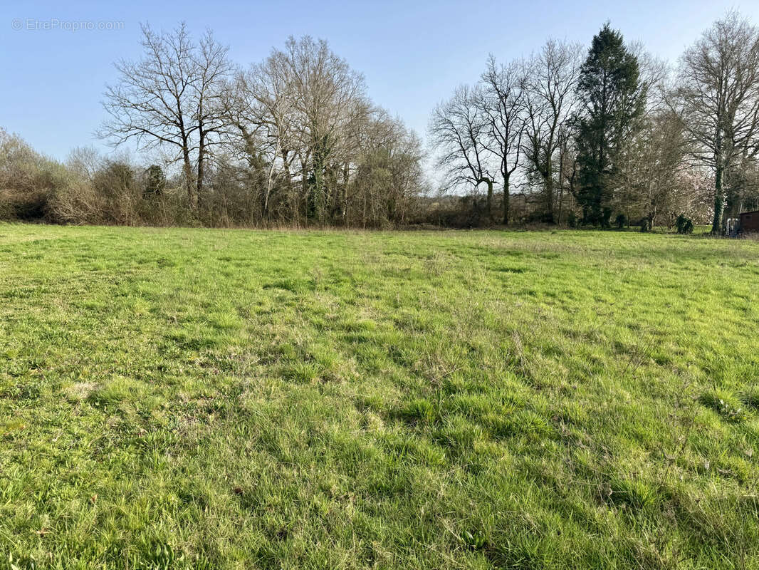 Terrain à SAINT-VIANCE