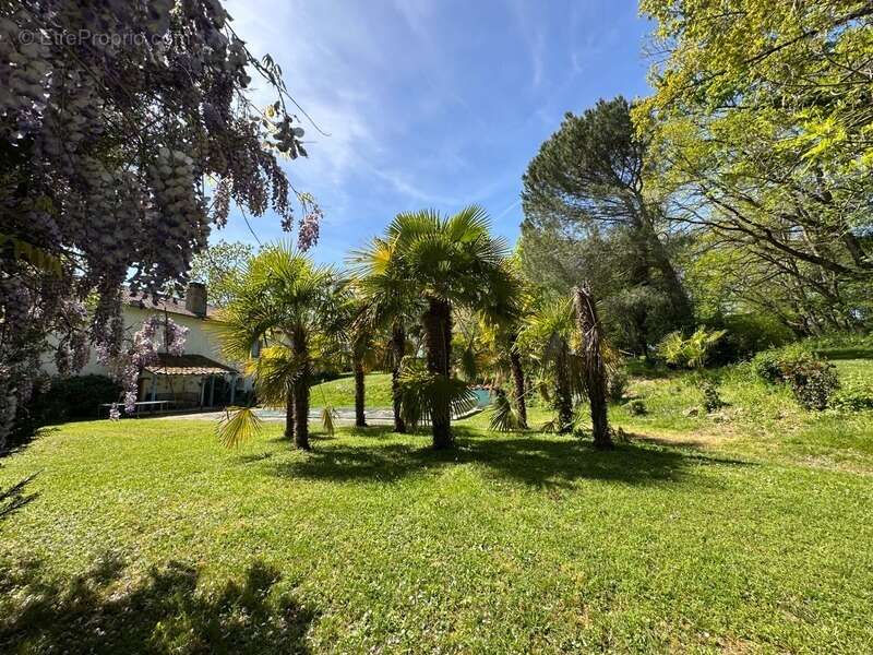Maison de campagne, isolée, parc arboré, piscine - photo 24