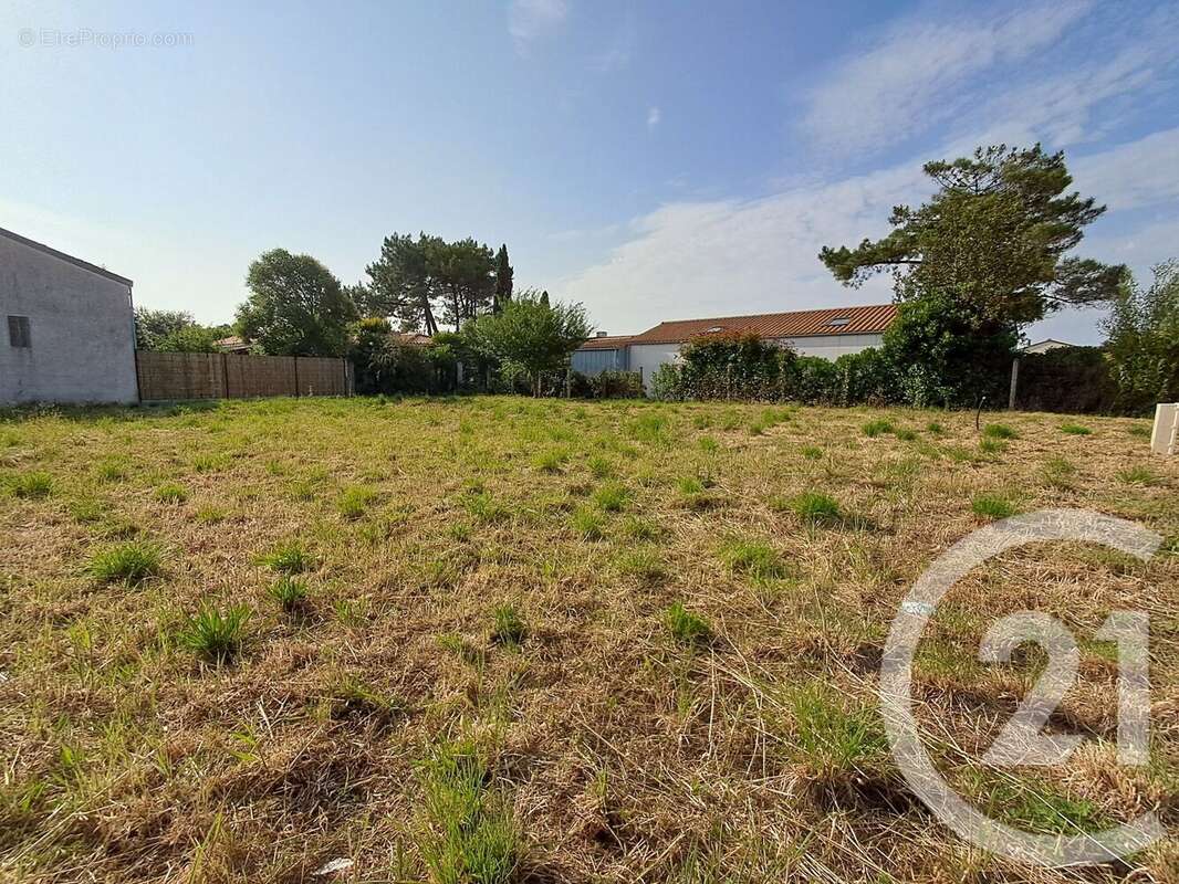 Terrain à TALMONT-SAINT-HILAIRE