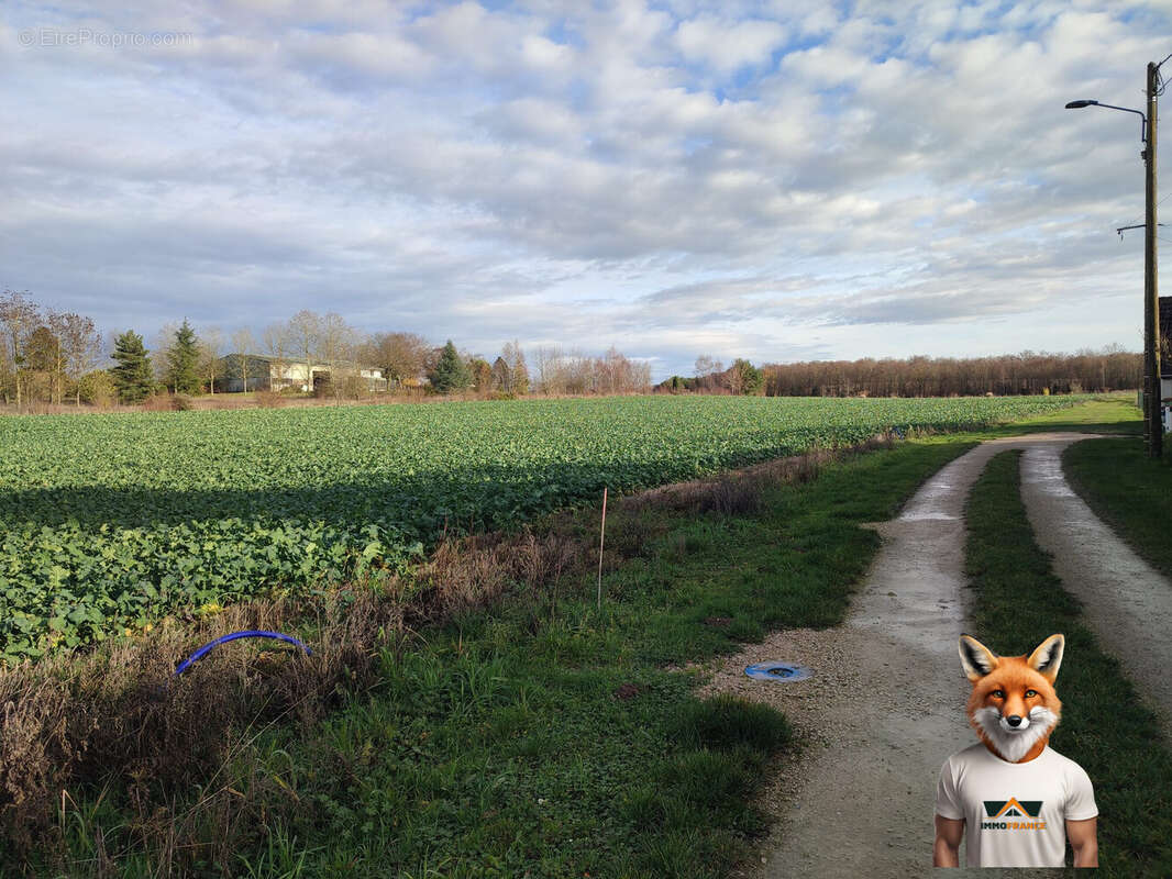 Terrain à SAINT-AUBIN
