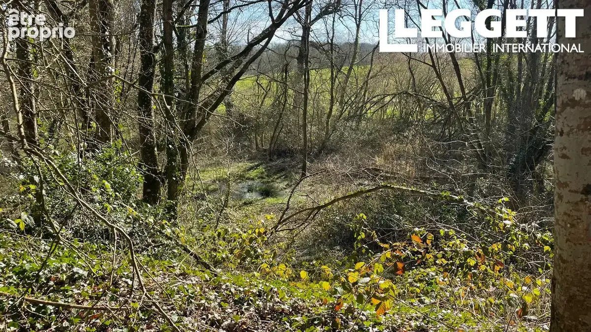 Un terrain boisé, un magnifique espace naturel au cœur de la Bretagne centrale - photo 3
