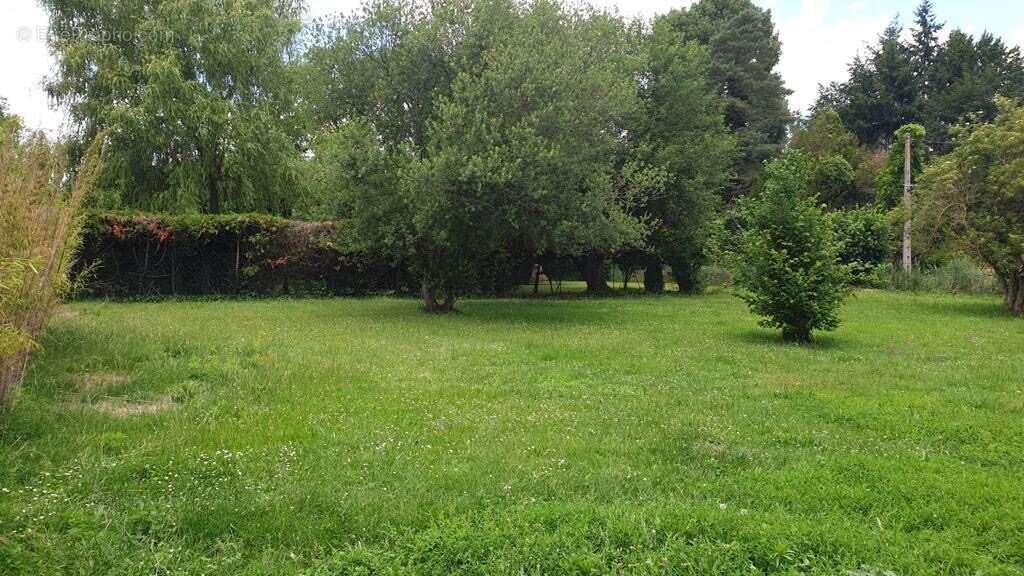 Terrain à LE VAUDOUE