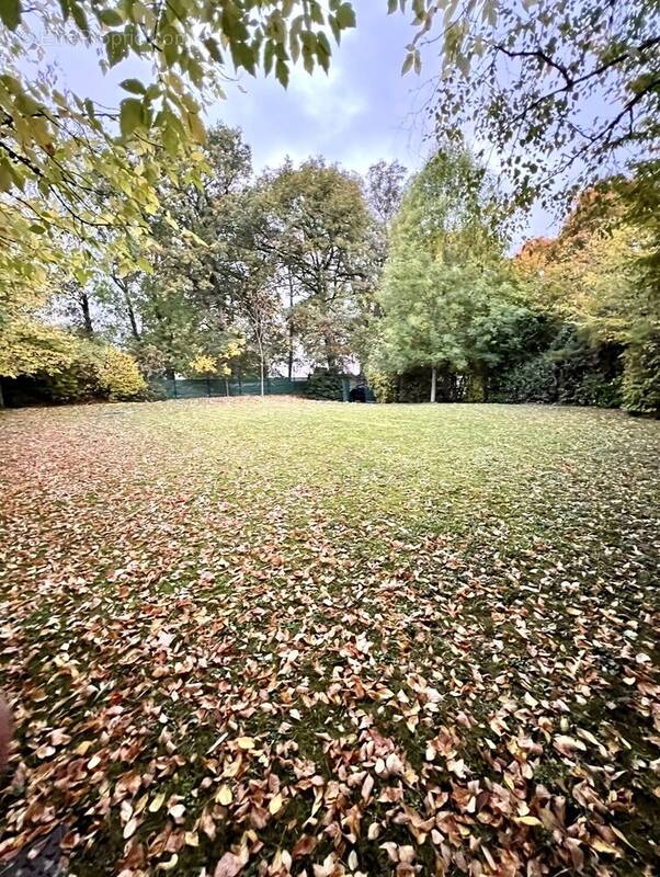 Terrain à JOUY-EN-JOSAS