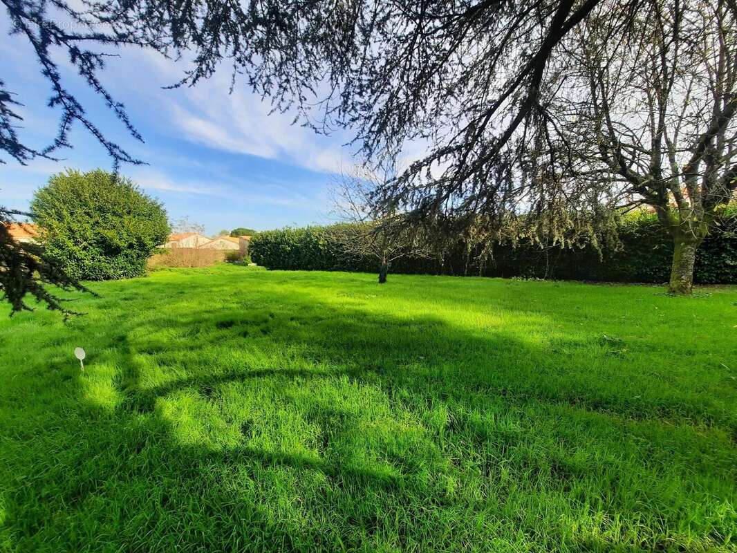 Photo 3 - Terrain à CHAURAY