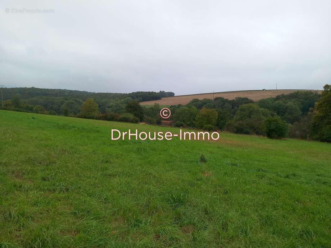 Terrain à CHESLEY