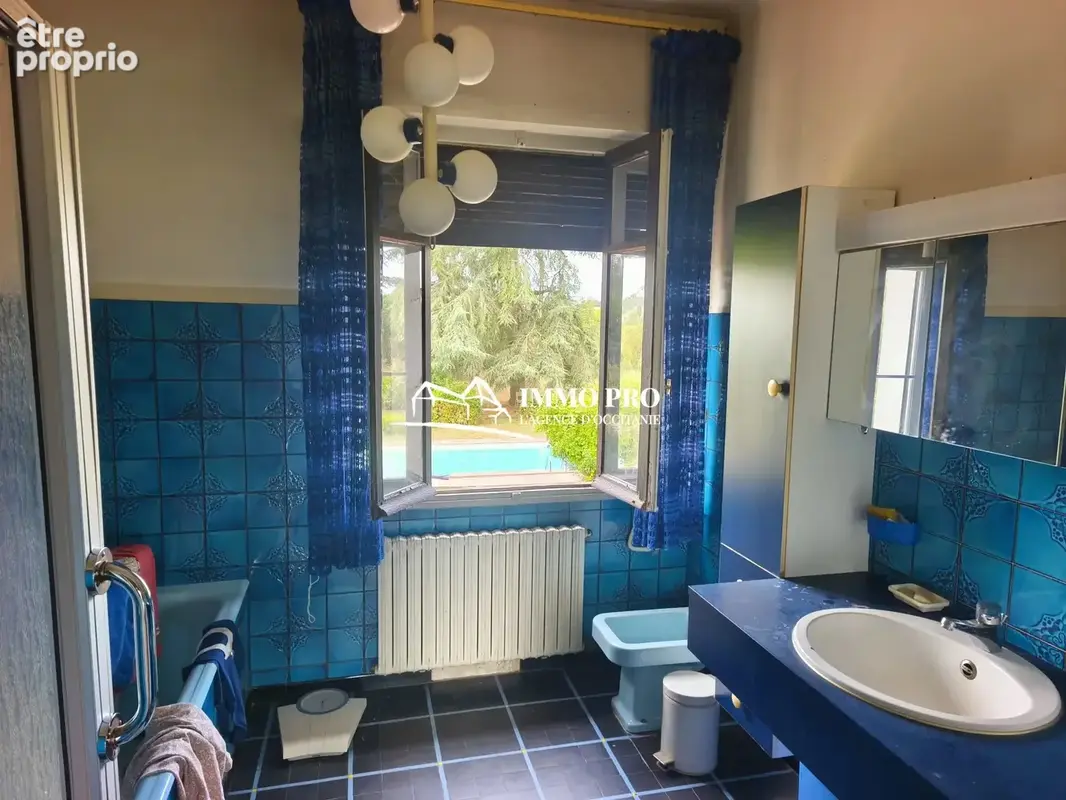 Gimont    Maison avec Piscine & Dépendance - photo 15