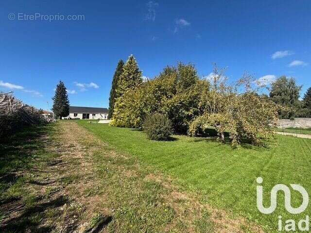 Photo 4 - Maison à LES ANCIZES-COMPS