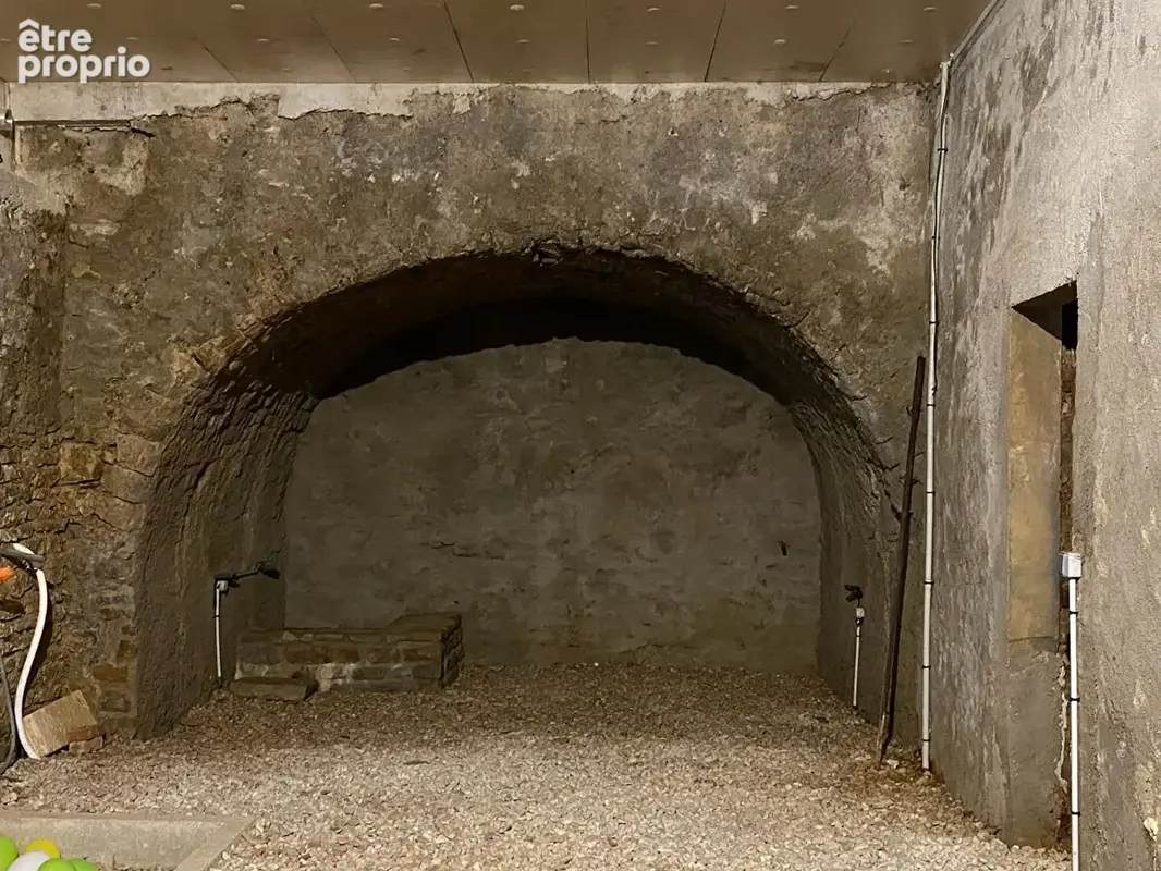 RARE sur Arbois : 2 maisons avec un ancien moulin - photo 18