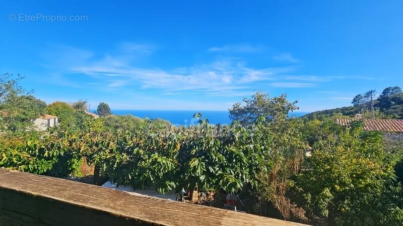 Maison à SARI-SOLENZARA