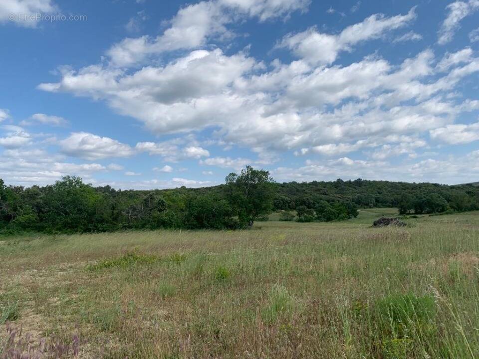 Terrain à LECQUES