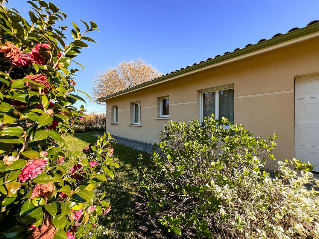 Maison à SAINT-JULIEN-EN-BORN