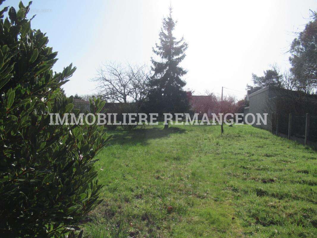 Maison à SELLES-SAINT-DENIS