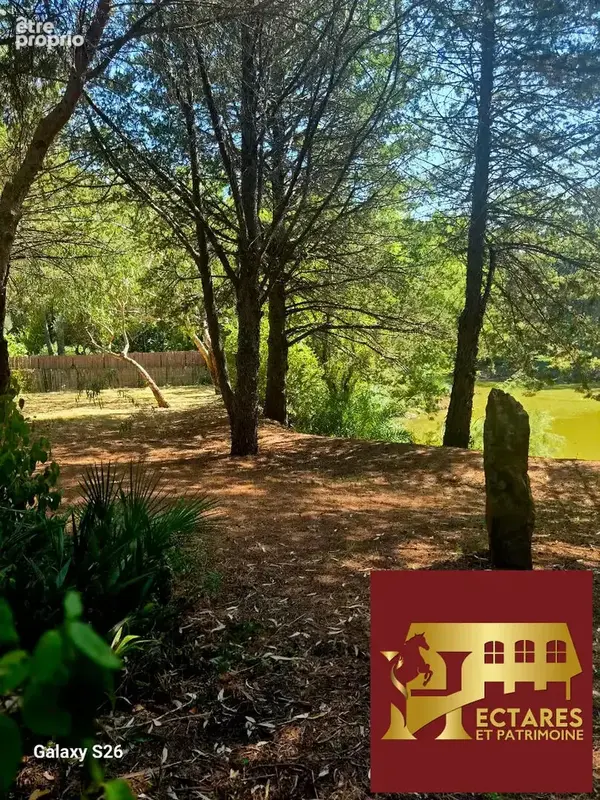 Propriété de charme sur 1ha de terrain au calme absolu sans être isolé - photo 18