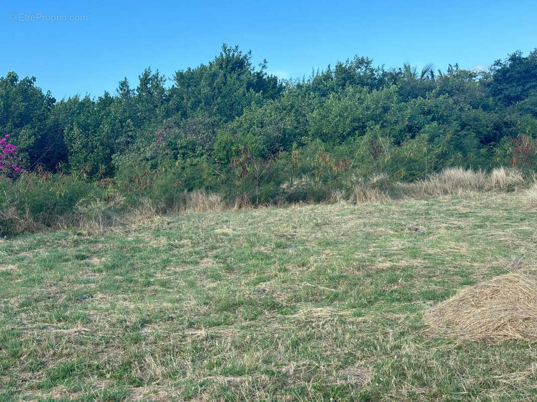 Terrain à SAINT-MARTIN