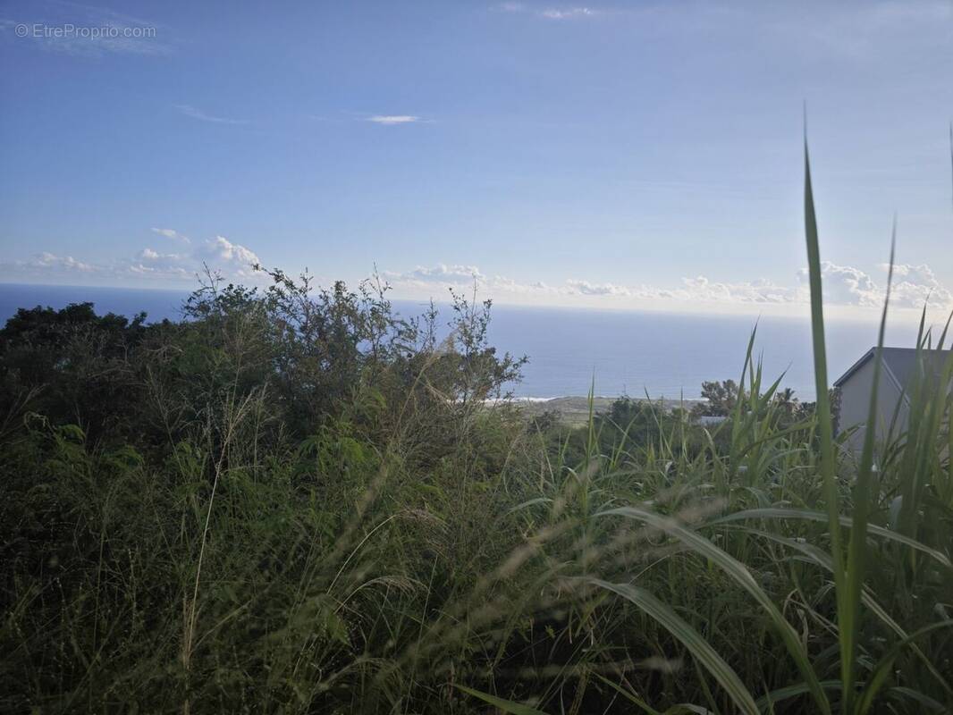 Terrain à LE PORT