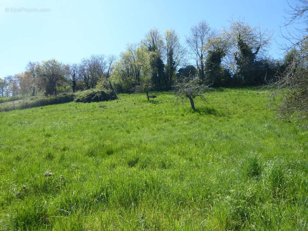 Terrain à SAINT-CHEF