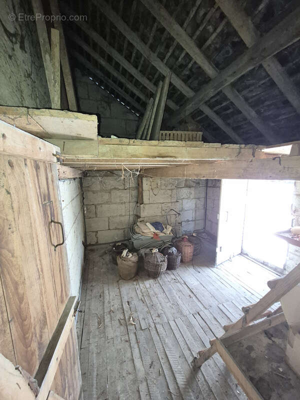 Maison avec dépendance et 2000 m2 terrain - photo 22