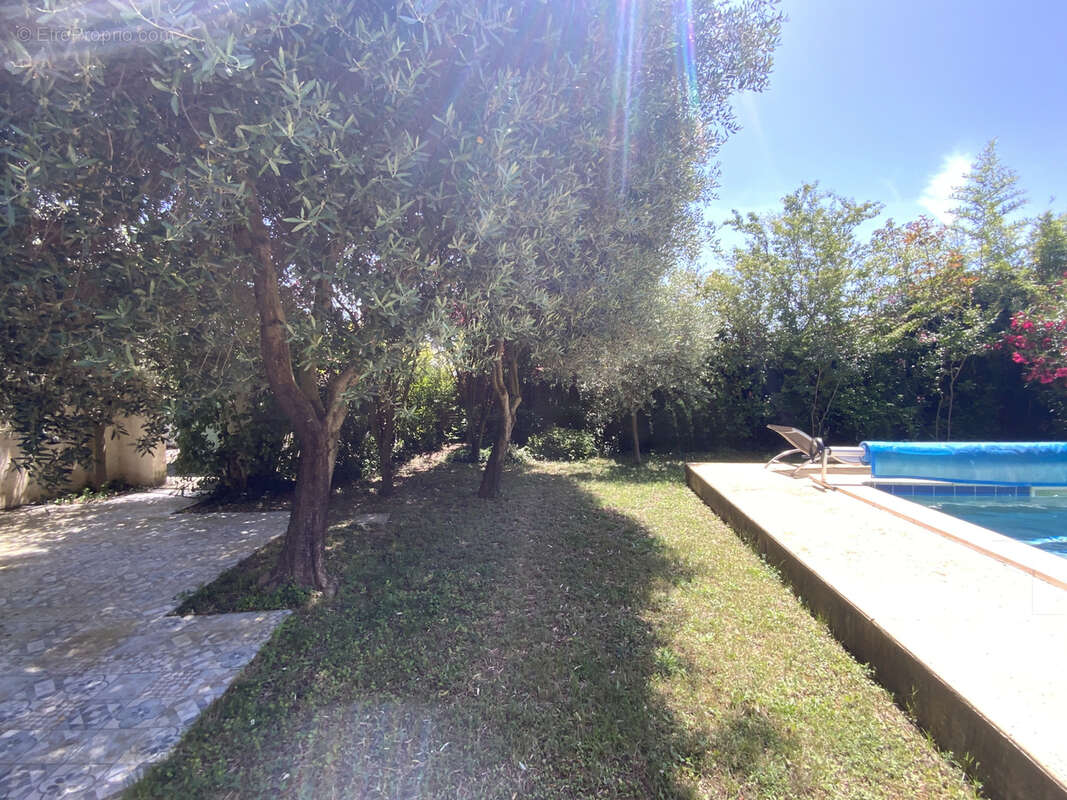 Charmante villa avec piscine dans village à quelques minutes d'Uzès. - photo 10