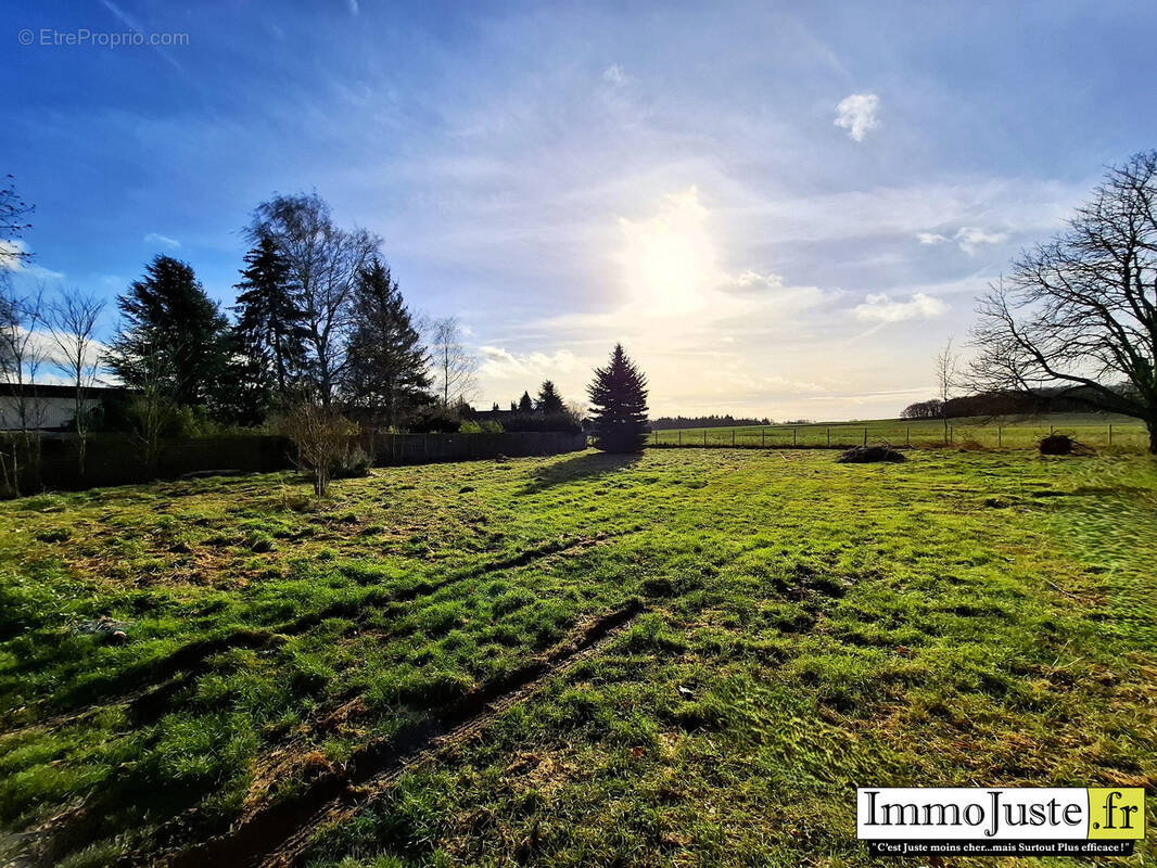 Terrain à MITTAINVILLE