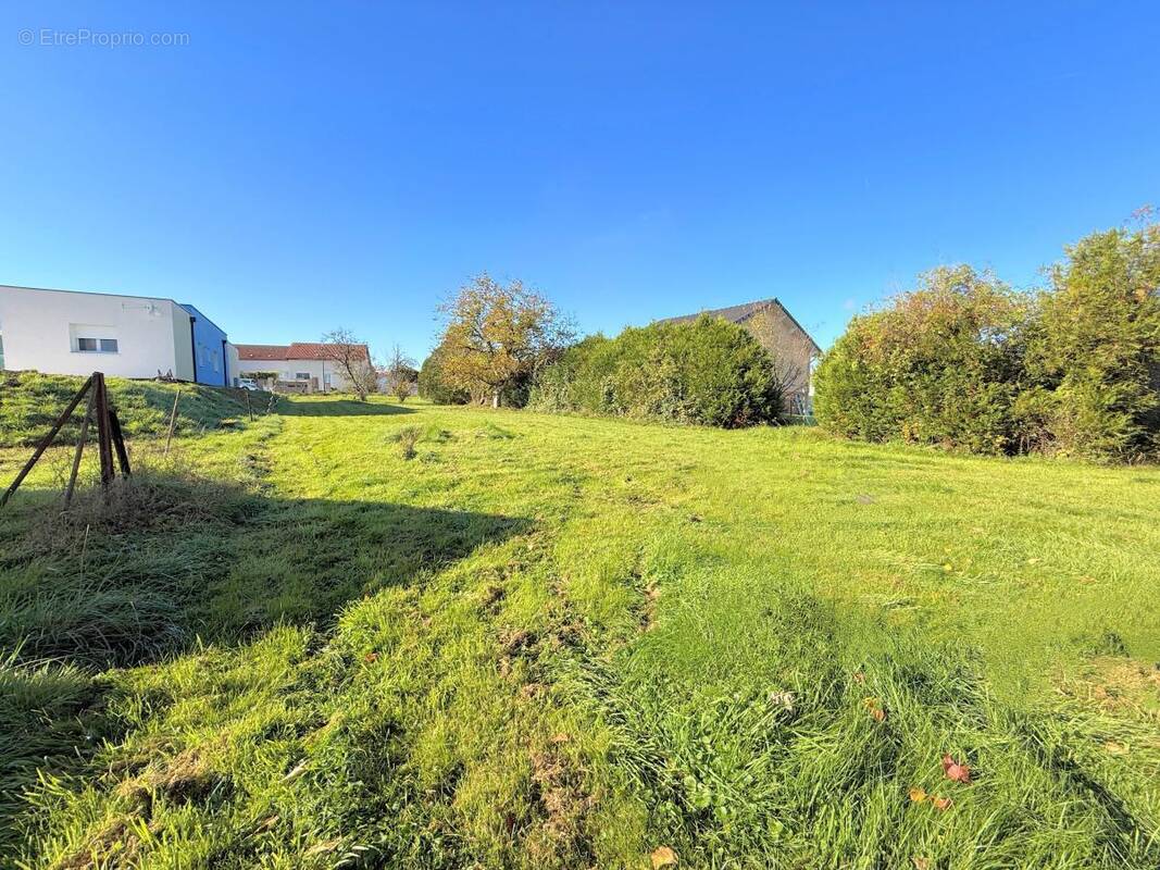 Terrain à UXEGNEY