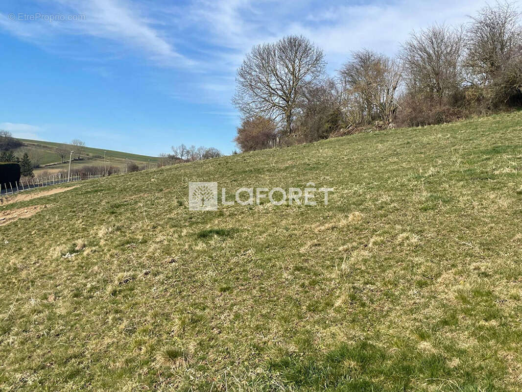 Maison à SAINT-CHRISTO-EN-JAREZ