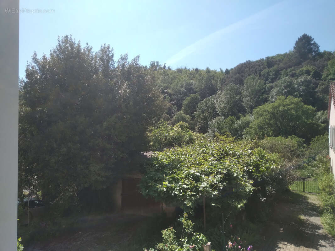 Maison à SAINT-JEAN-DU-PIN