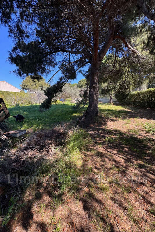 Terrain à PORT-DE-BOUC