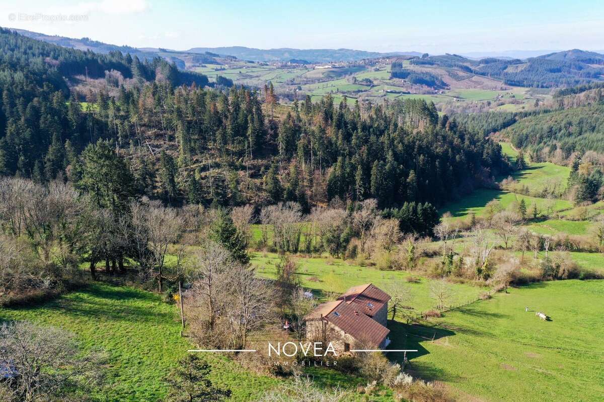 Maison à SAINT-IGNY-DE-VERS