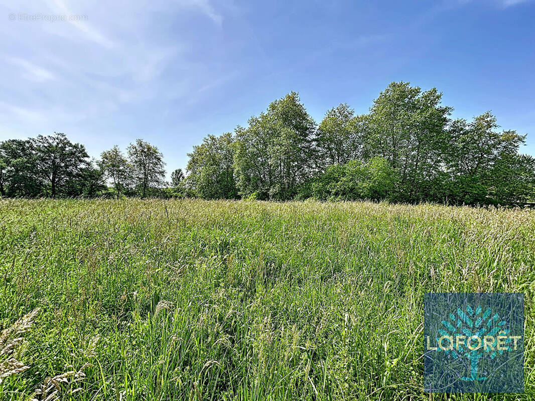 Terrain à SAUGNAC-ET-CAMBRAN