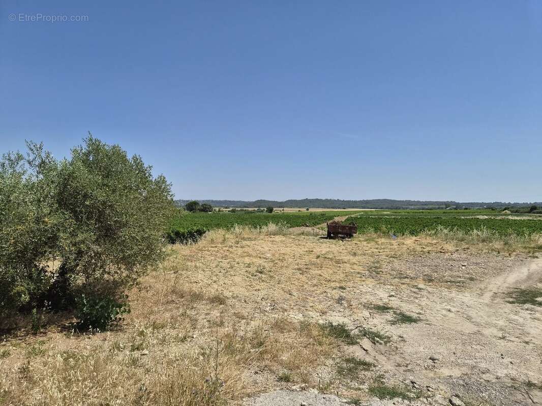 Terrain à SOMMIERES