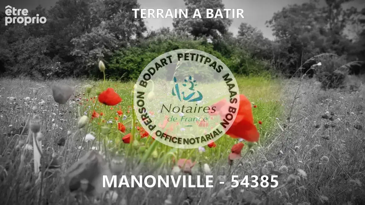 Terrain à MANONVILLE