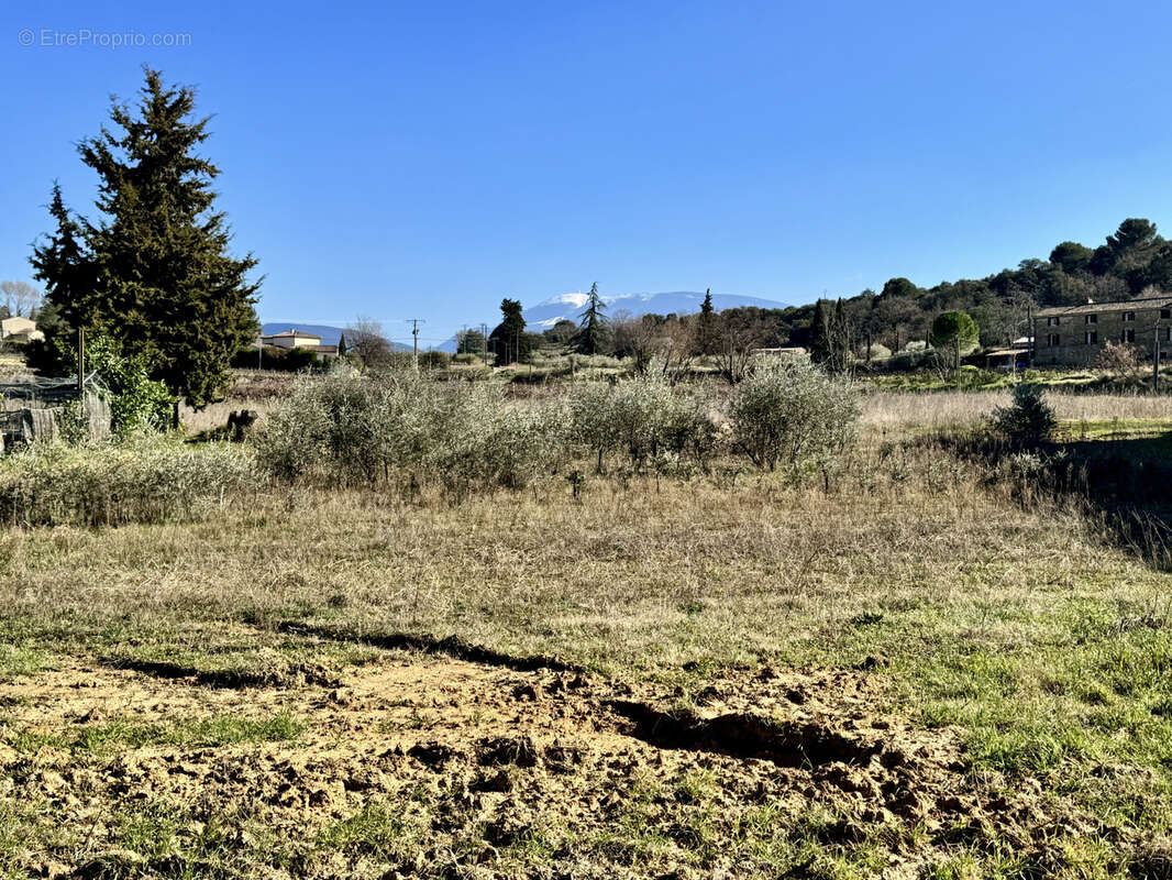 Terrain à VAISON-LA-ROMAINE