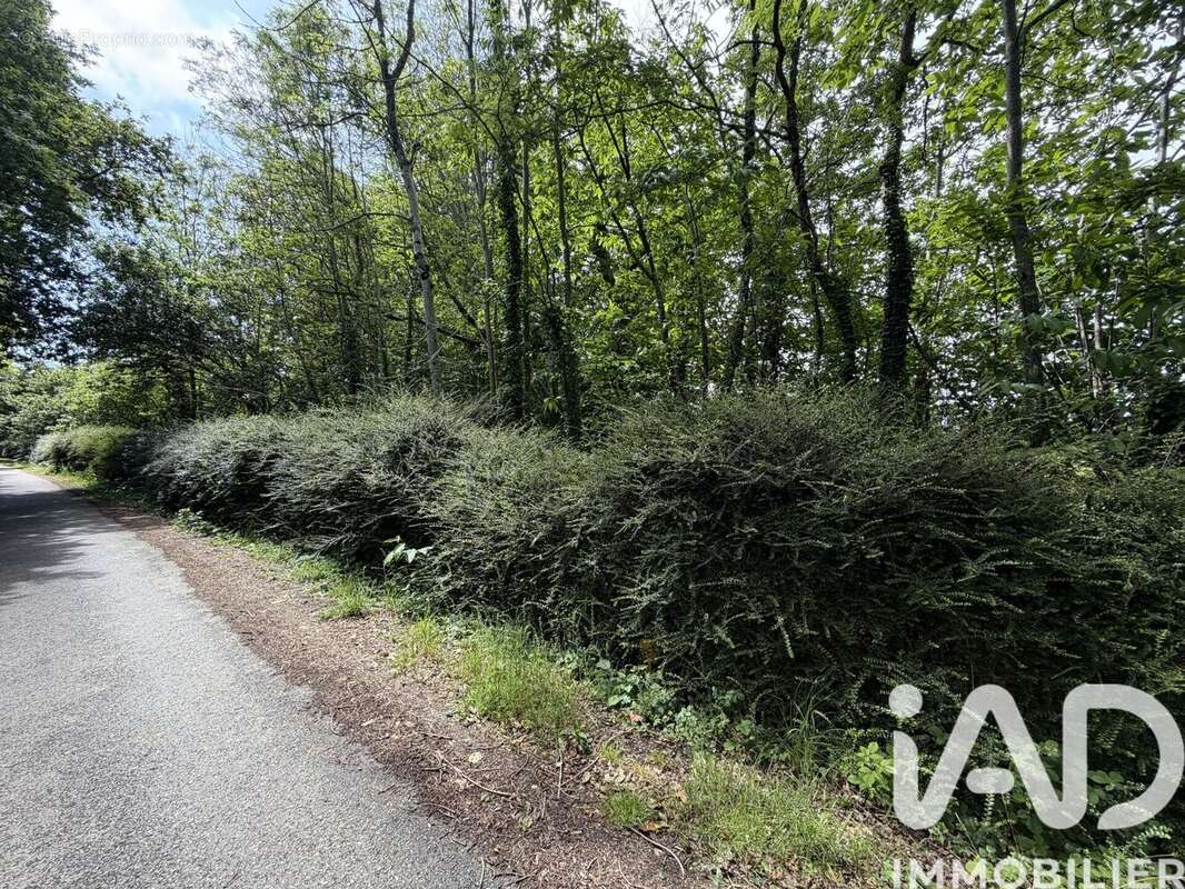 Photo 4 - Terrain à CLOHARS-CARNOET