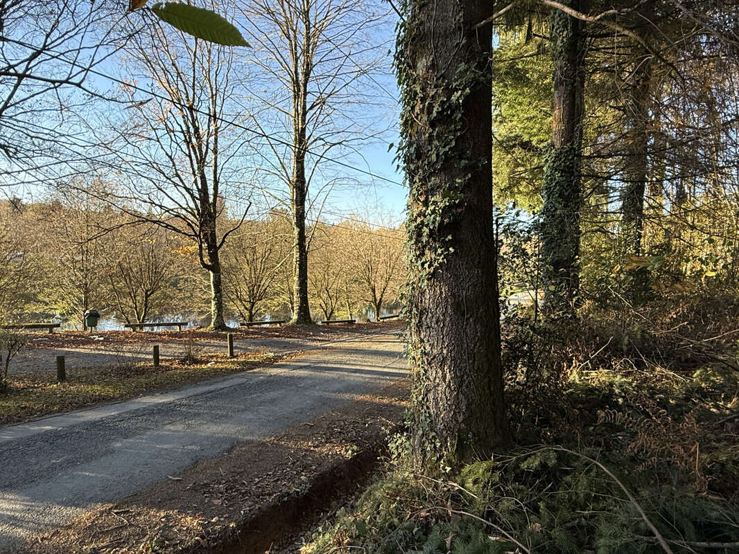 Terrain à SAINT-SORNIN-LAVOLPS