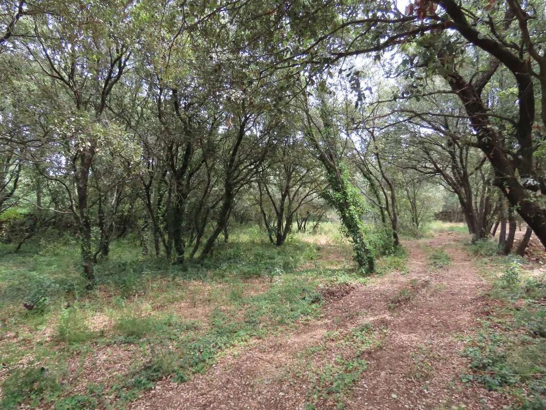 Photo Garrigue d\&#039;Uzès 7 - Terrain à UZES