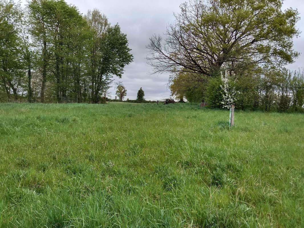 Longère à saisir 3ch et 7700m2 de terrain - photo 15