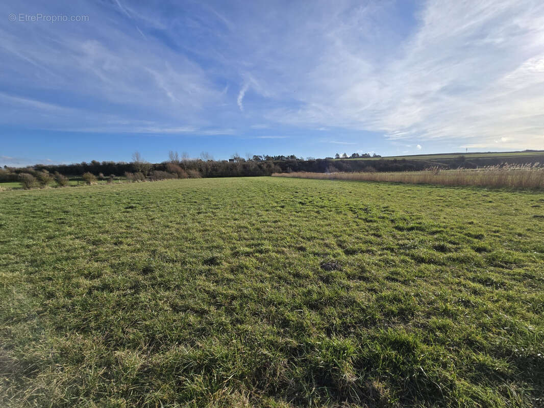 Terrain à WOIGNARUE