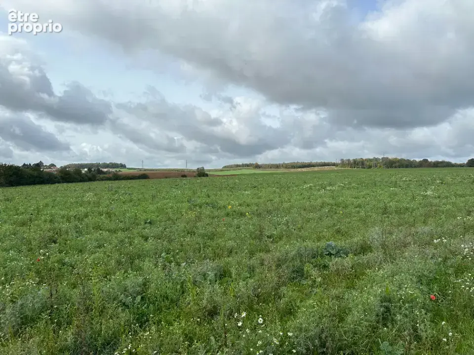Terrain à THIONVILLE