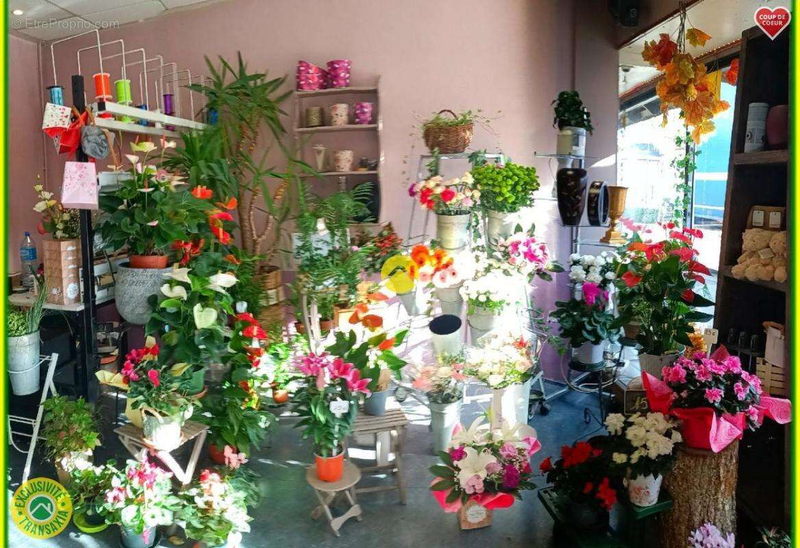 Commerce à NEUVY-SUR-BARANGEON