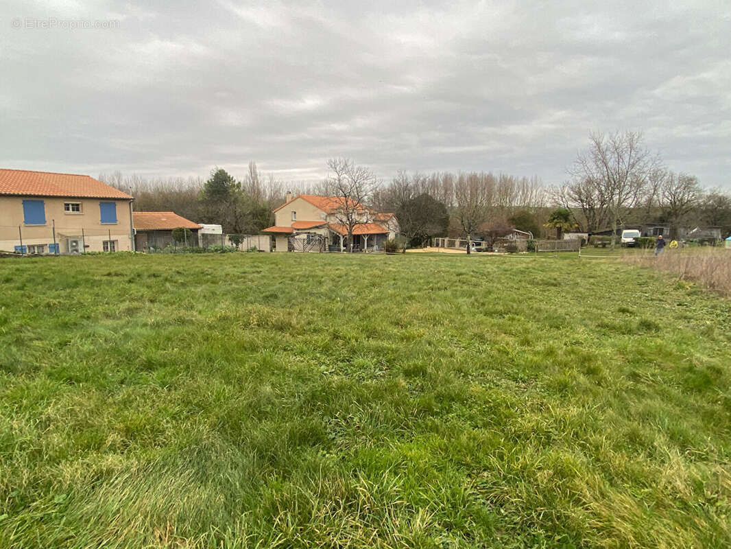 Terrain Niort - photo 2