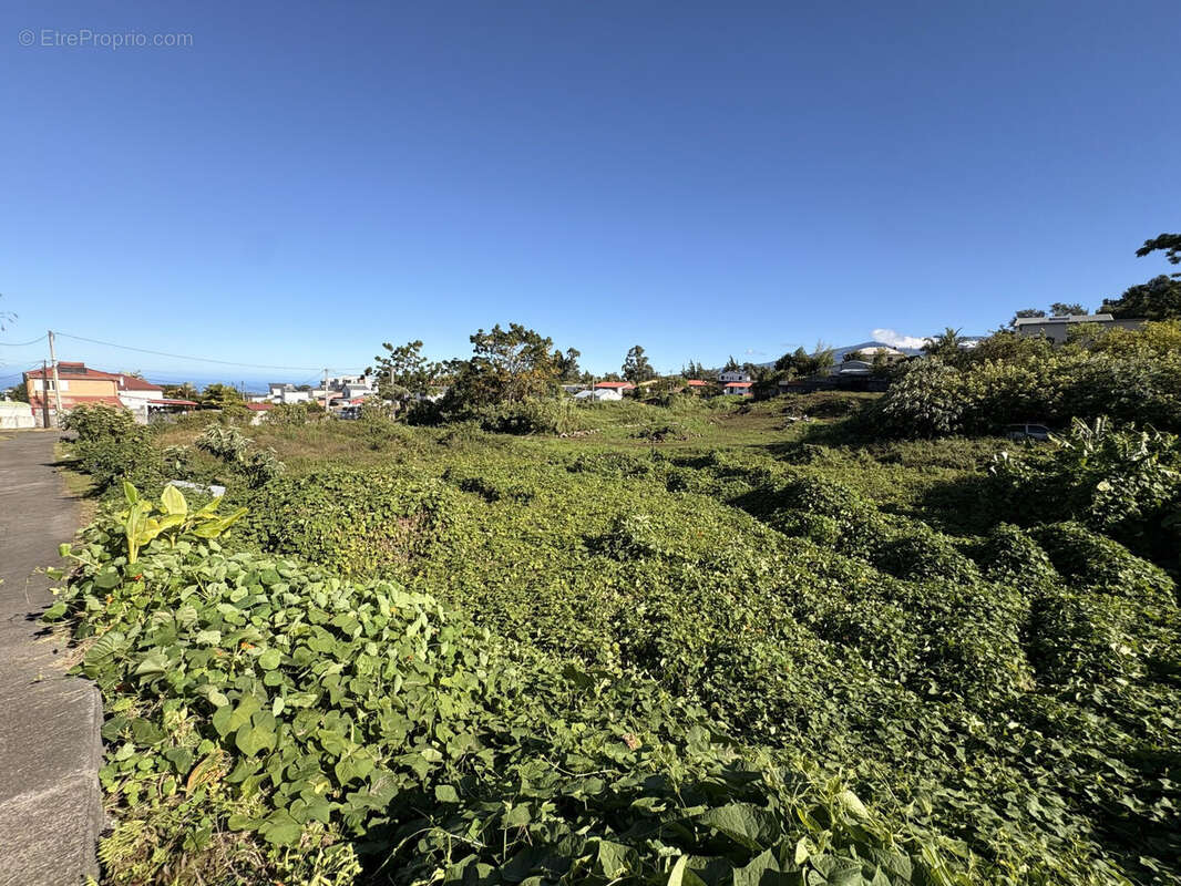 Terrain 380 m² à Le Tampon  - photo 7