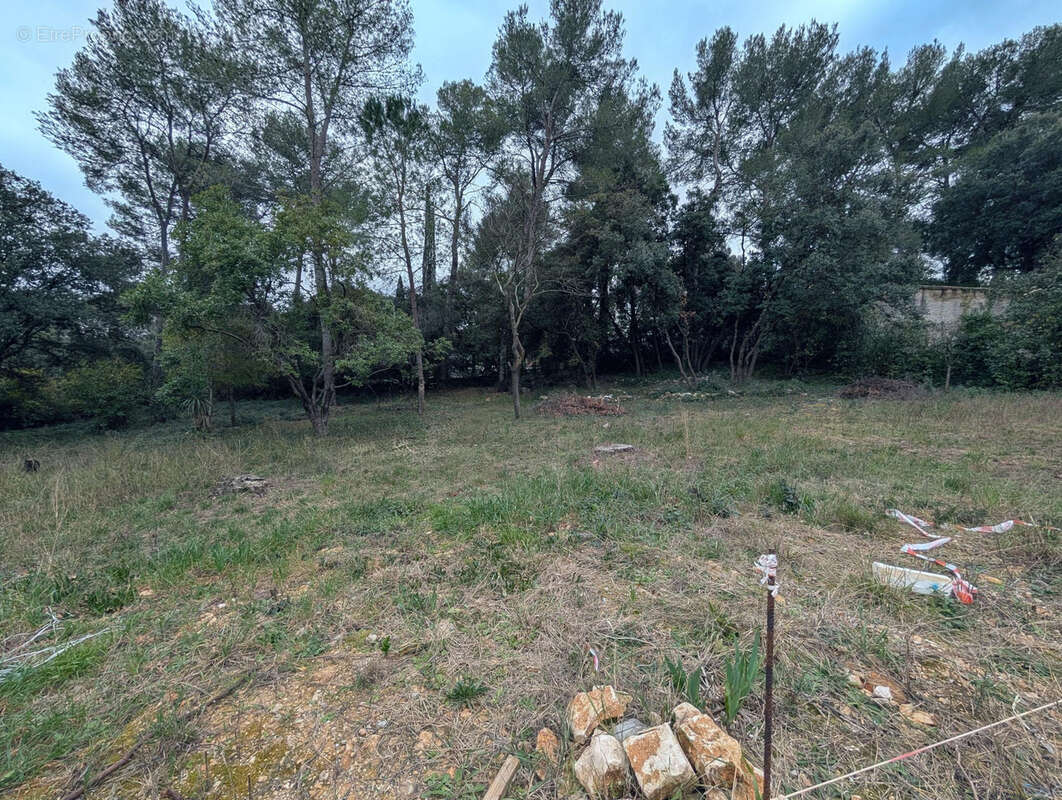Terrain à SAINT-VINCENT-DE-BARBEYRARGUES