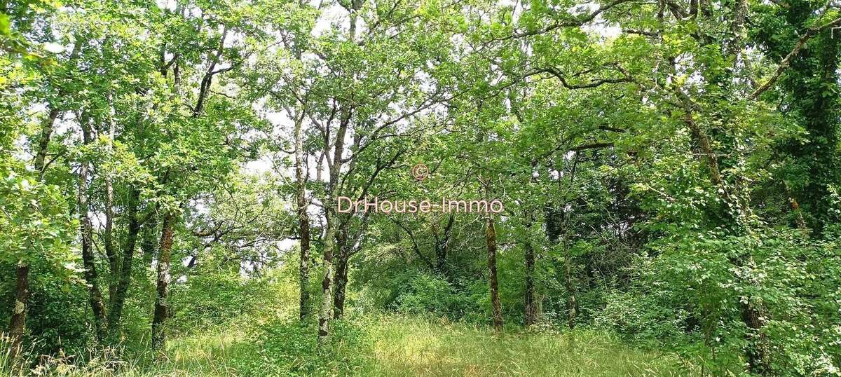 Terrain à MONTVALENT