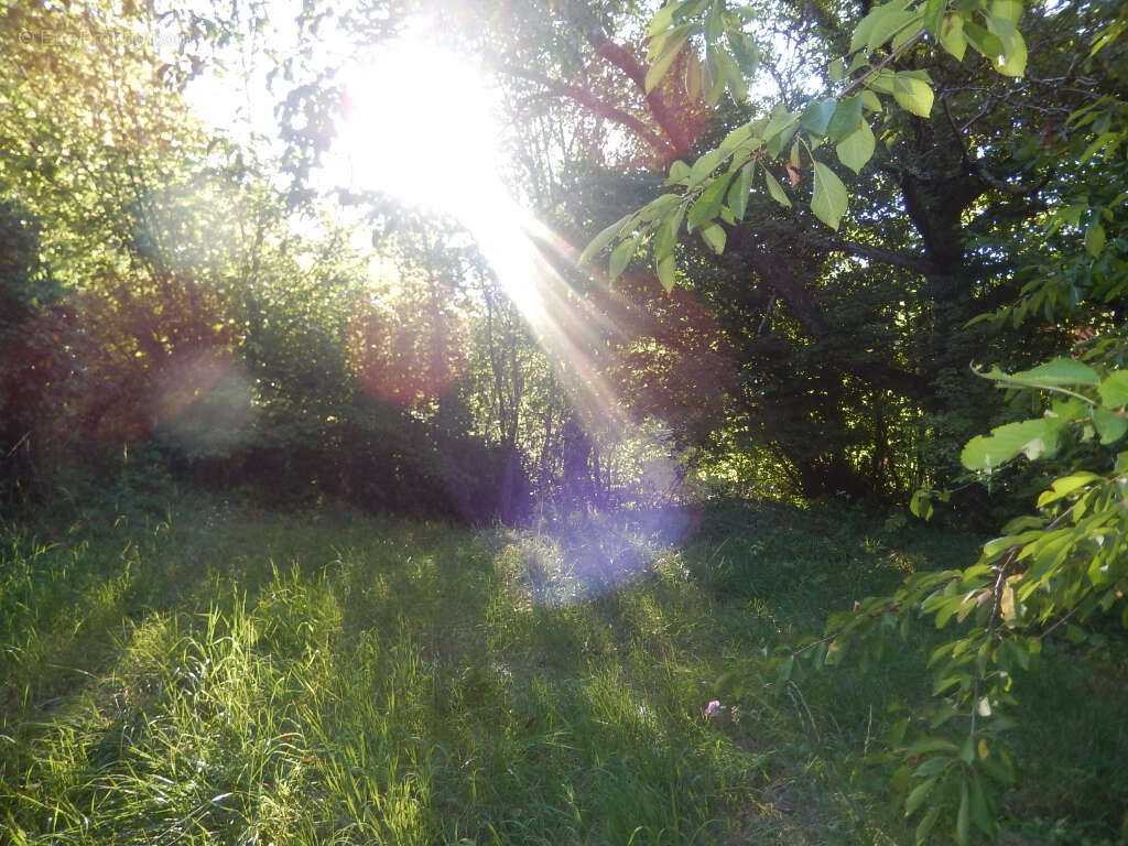 Terrain à SAINT-SYMPHORIEN-DE-MARMAGNE